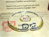 Cartier5 (3)