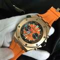 Audemars Piguet watch 161204 (14)_3971648