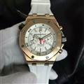 Audemars Piguet watch 161204 (19)_3971643