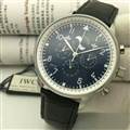 IWC watch 161109 (14)_3958682