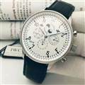 IWC watch 161109 (5)_3958691